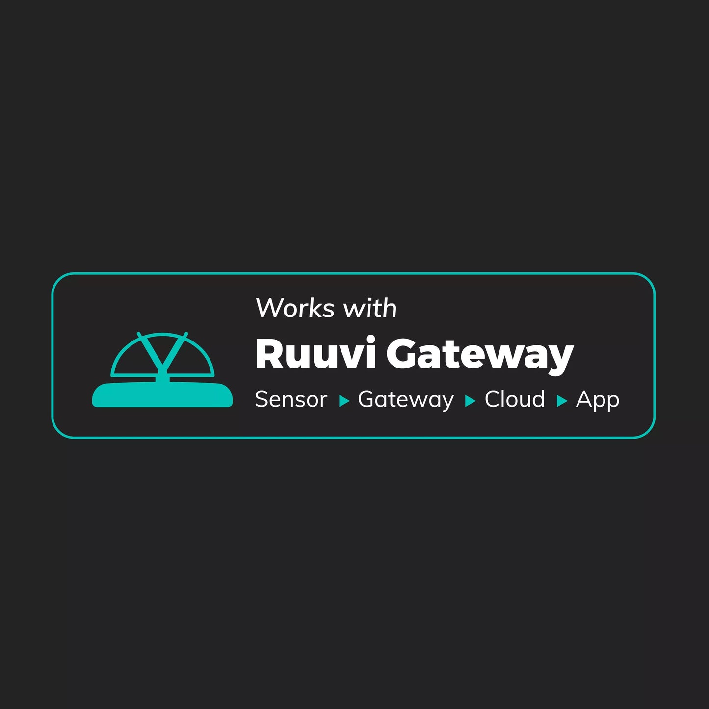 works-with-ruuvi-gateway2.jpeg